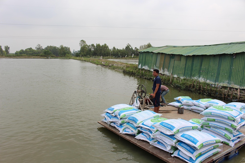 Việt Nam bắt tay với chuyên gia Anh để nghiên cứu bệnh trên cá tra