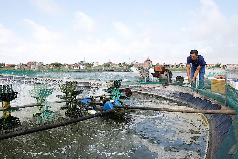 Hải Chính: Ứng dụng khoa học công nghệ trong sản xuất thủy sản
