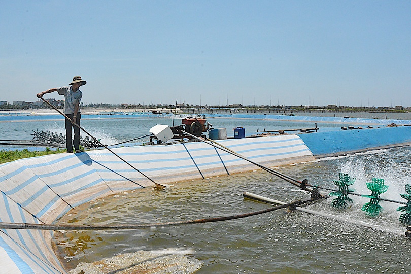 Tính hiệu lạc quan trong nuôi trồng thủy sản Nam Định