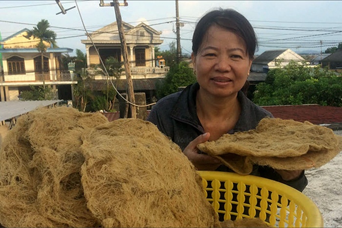 Hướng đi mới trong phát triển rong câu