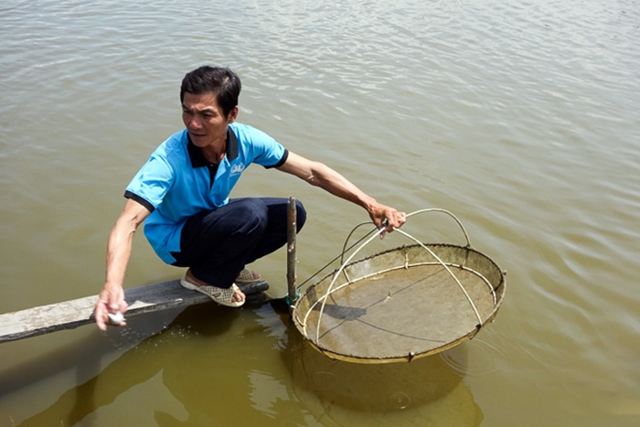 Thức ăn tự nhiên - giải pháp giảm chi phí và môi trường bền vững