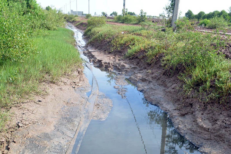 Báo động tình trạng xả nước thải nuôi tôm không qua xử lý ra môi trường