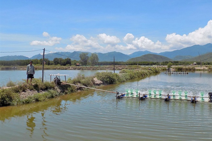 Kết quả quan trắc môi trường và giám sát vùng nuôi Khánh Hòa