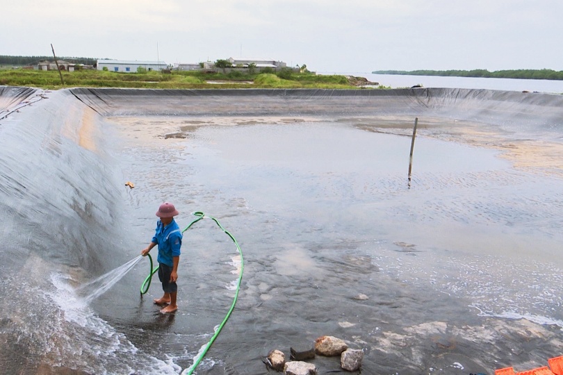 Kinh nghiệm của nông dân Thái Lan để quản lý WSSV trên tôm