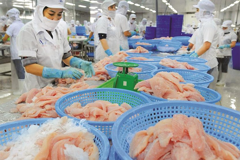 Yếu tố quyết định cho sự phát triển ngành cá tra