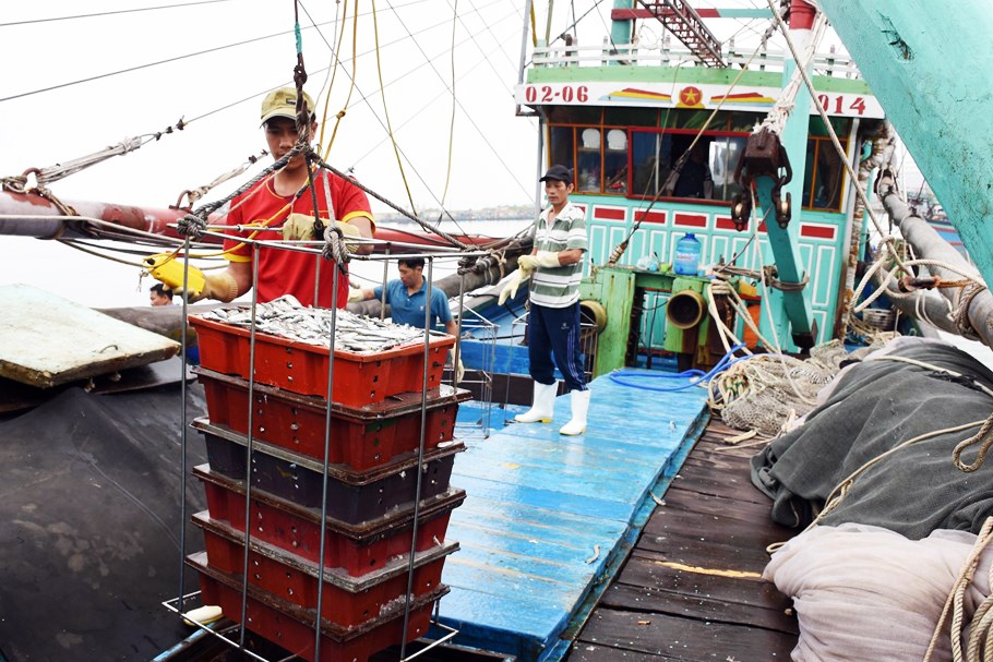 Đánh bắt thủy, hải sản Nghệ An 6 tháng đạt hơn 1.600 tỷ đồng