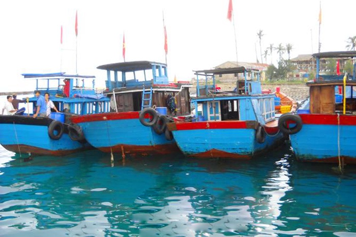Quảng Ngãi: Công bố hạn ngạch giấy phép khai thác thủy sản