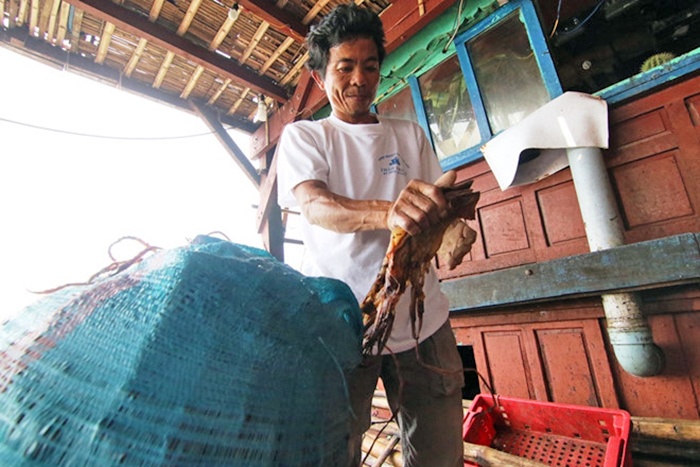 Gần 1.000 tấn mực khô ứ đọng do Trung Quốc ngừng mua đã được “giải phóng”