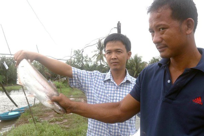 Triệu phú xứ cù lao