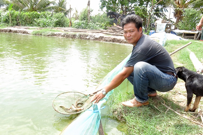 nông dân Viên Bình rủ nhau nuôi cá chạch quế