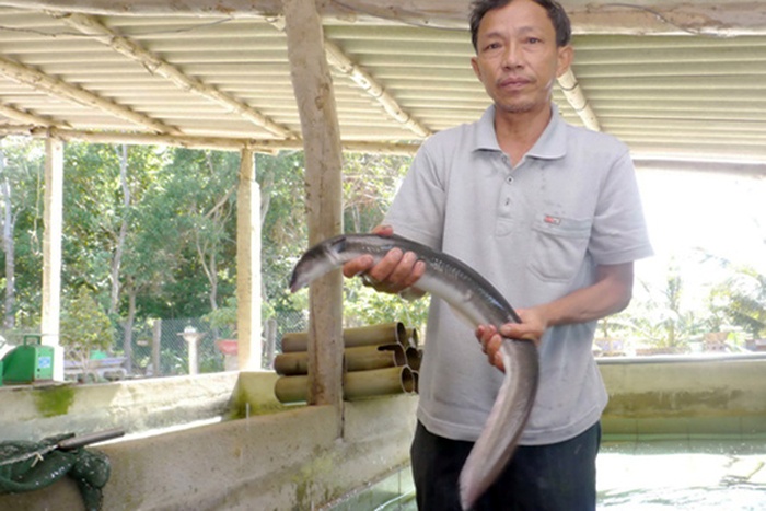 Nuôi đặc sản tiến vua nông dân Bình Định phất lên làm giàu