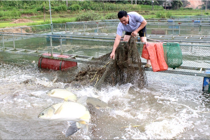 Nâng “chất” các hợp tác xã thủy sản
