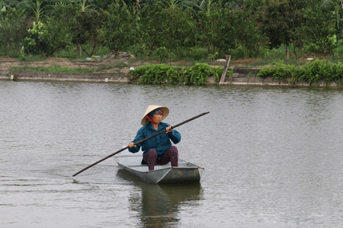 Biện pháp phòng chống nắng nóng bảo vệ vật nuôi thủy sản