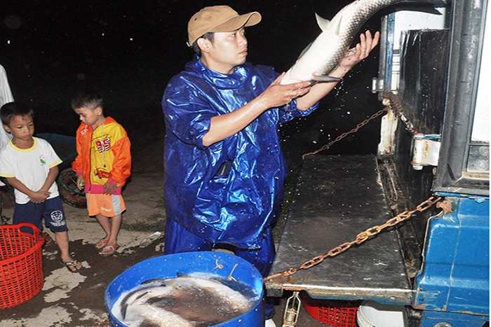 Cần nuôi tôm cá đúng khung lịch thời vụ