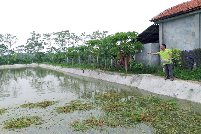 Làm giàu trên vùng đất khó