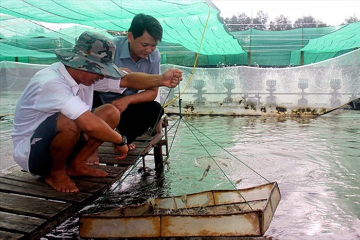 Bạc Liêu: Tăng sản lượng nuôi trồng, khai thác thủy sản