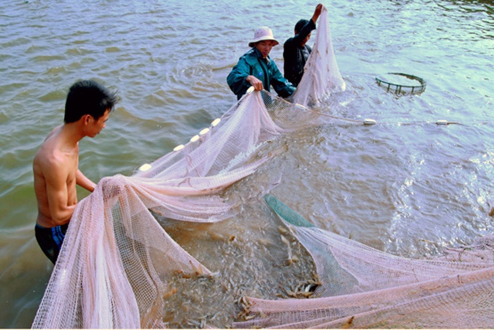 Ninh Bình: Đẩy mạnh phát triển thủy sản ở Yên Đồng