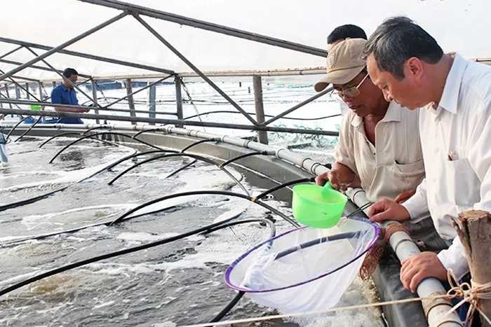 Xây dựng thương hiệu tôm Việt