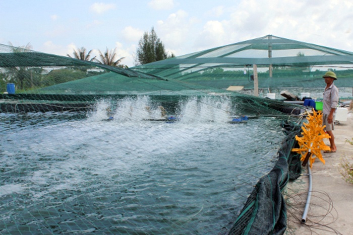 Thái Thượng: Bảo đảm an toàn nuôi trồng thủy sản mùa mưa bão