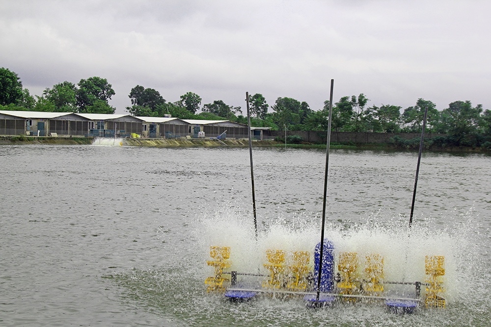 Hà Nội: Điều kiện khu nuôi trồng thủy sản ứng dụng công nghệ cao