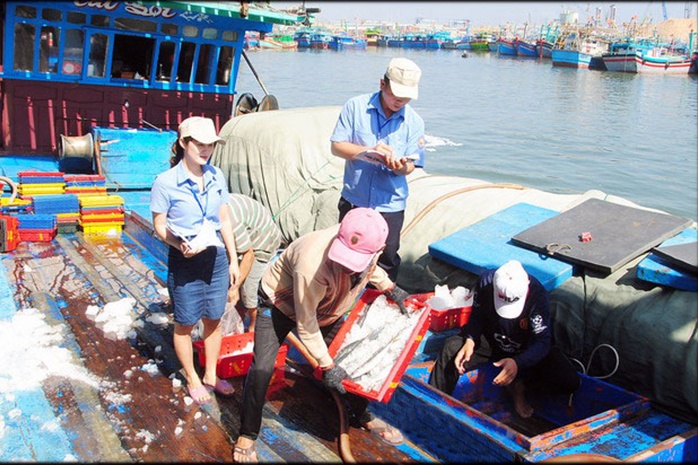 Sẽ kiểm soát, xử lý quyết liệt hơn việc truy xuất nguồn gốc thủy sản