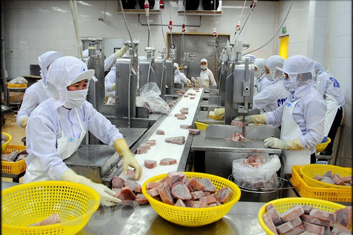 Tháng 7: Xuất khẩu thủy sản có nhiều tín hiệu khả quan