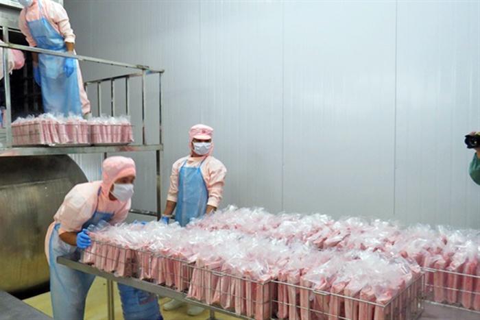 Công nghệ cấp đông cá ngừ siêu tốc