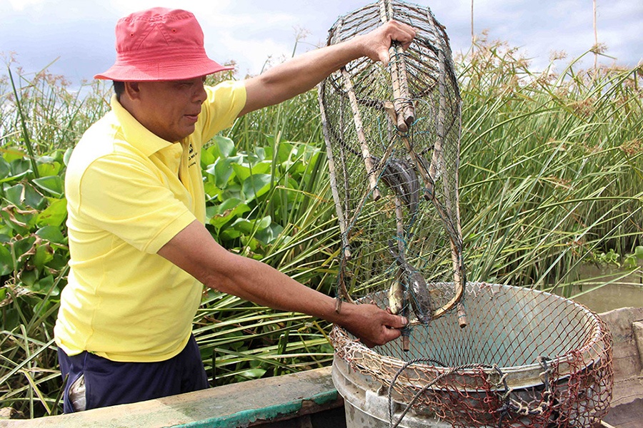 Cá đồng “lên ngôi”