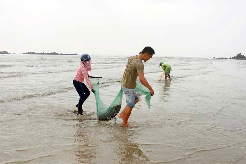Mùa ốc cườm, ngư dân Nghệ An thu tiền triệu mỗi ngày