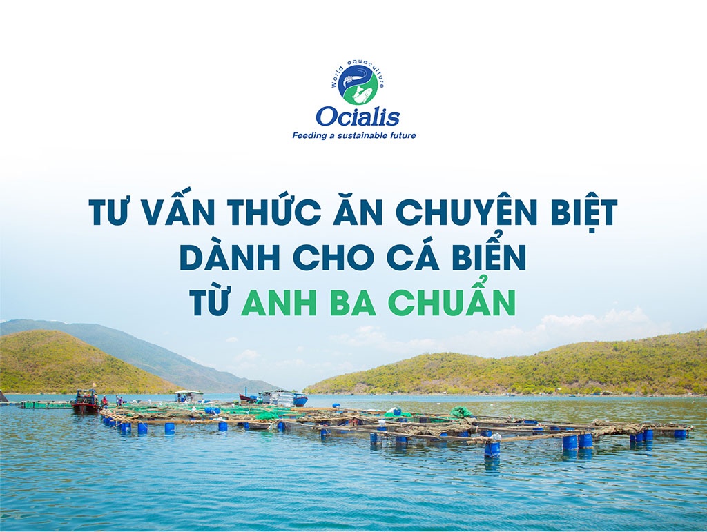 tư vấn thức ăn