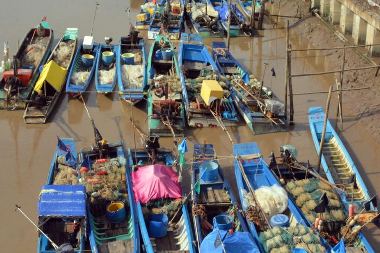 Để ngành đánh bắt thủy sản Bạc Liêu bền vững