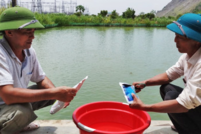 Phát triển tổ liên kết hướng đi mới cho thủy sản Nho Quan