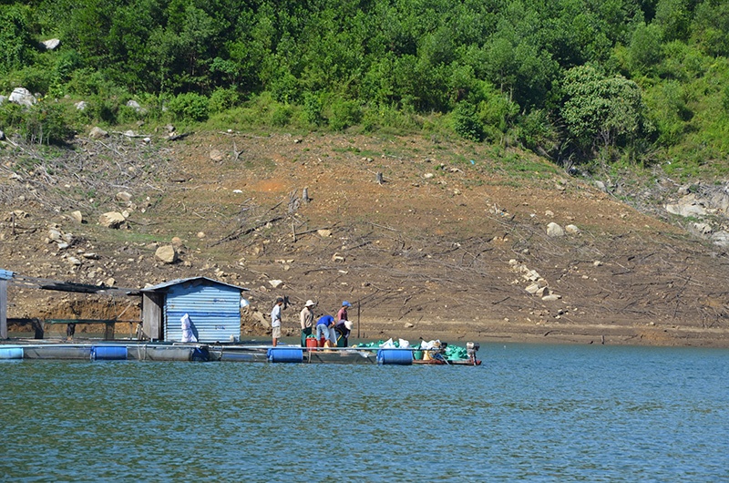 Quảng Nam: Còn nhiều tiềm năng cho nuôi cá lồng ở hồ thủy điện