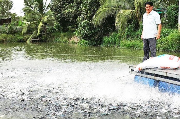 Nuôi thủy sản theo tiêu chuẩn, đáp ứng yêu cầu thị trường