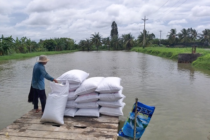 Giá cá tra tăng nhẹ