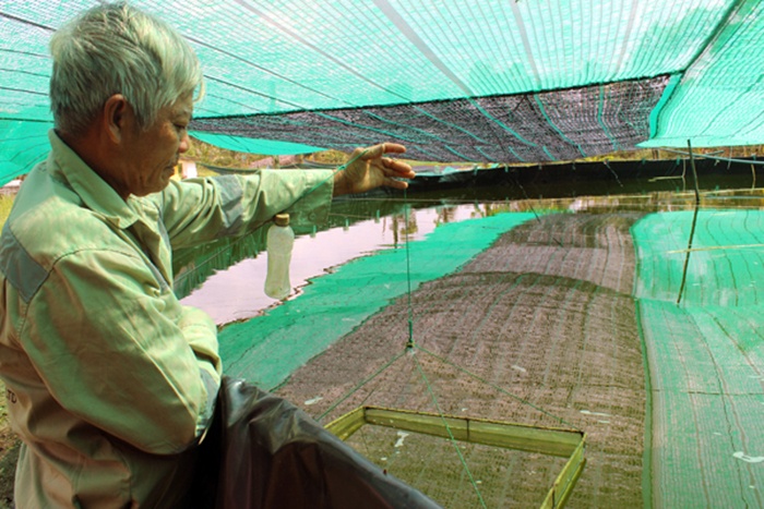 Nuôi thủy sản nước lợ Đồng Nai: Cần tính toán lâu dài