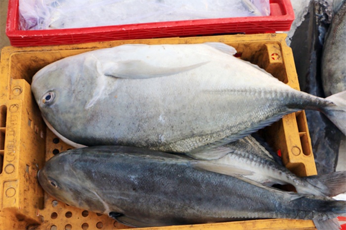 Hà Tĩnh: Mẫu sản phẩm thủy sản không chưa dư lượng độc hại