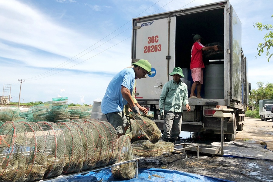 Vướng quy định: Nhiều lô thủy sản xuất sang Trung Quốc bị tồn đọng