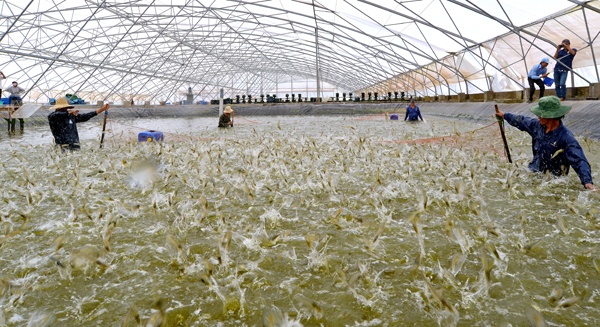 Xuất khẩu thủy sản sang Trung Quốc