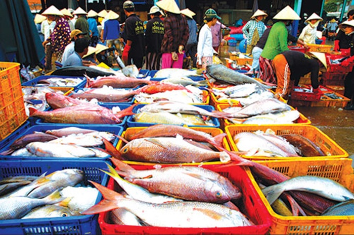 Sản lượng hải sản nhiều, dù cuối vụ cá nam