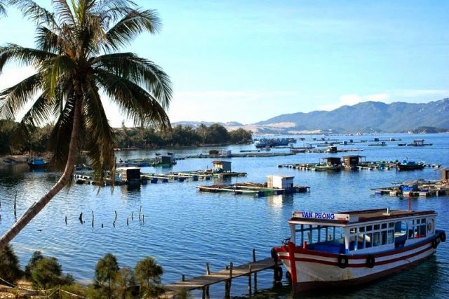 Khánh Hòa: Vỡ quy hoạch nuôi lồng bè trên vịnh Vân Phong