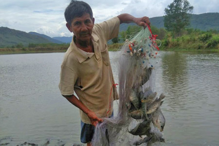 Nông dân đồng hành cũng nhau nuôi cá