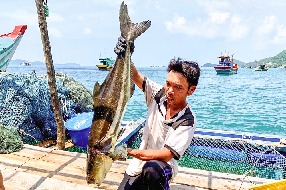 Lênh đênh nghề nuôi cá bè biển Tây