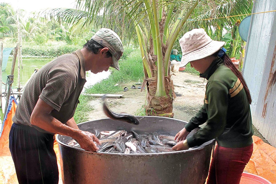 Nhiều mô hình làm ăn trong lũ