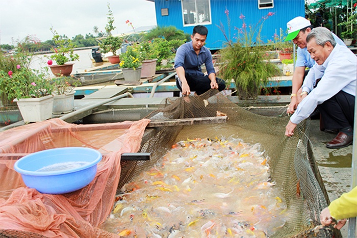 Quy hoạch vùng nuôi cá bè trên hồ Trị An