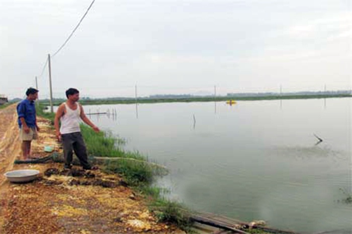 Hà Tĩnh: Khắc phục sản xuất nuôi trồng thủy sản sau mưa lũ
