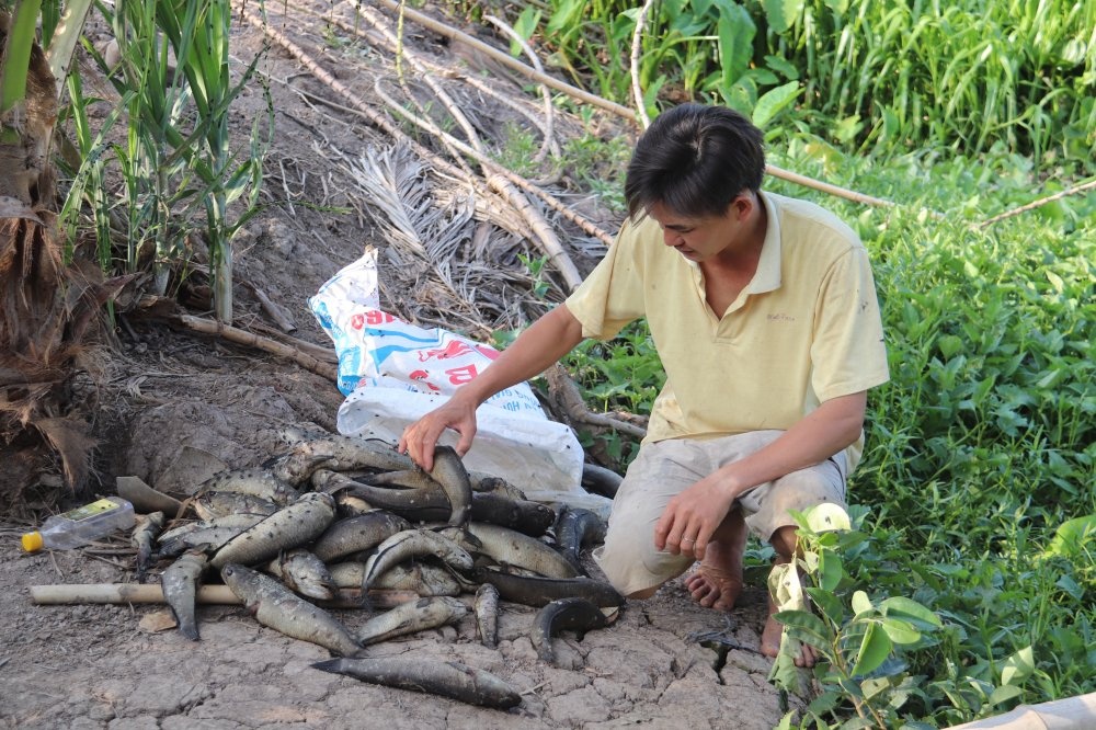Ô nhiễm sông Cái Lớn: Dân nuôi thủy sản mỏi mắt chờ bồi thường