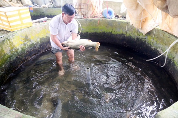 Lào Cai đáp ứng khoảng 65% giống thủy sản