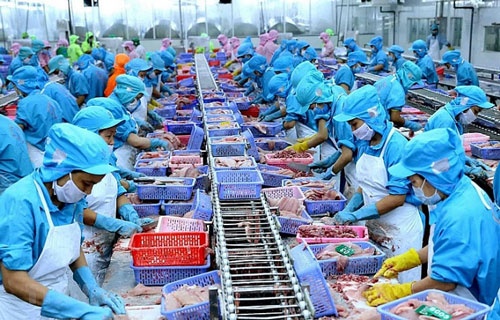 Xuất khẩu thủy sản: chờ cơ hội đột phá cuối năm