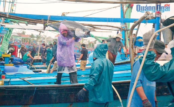 Nhọc nhằn nghề câu